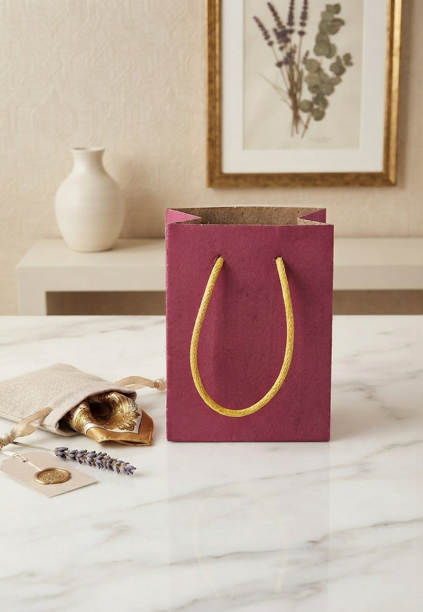 Bolsa de Regalo Ecológica de Papel Kraft