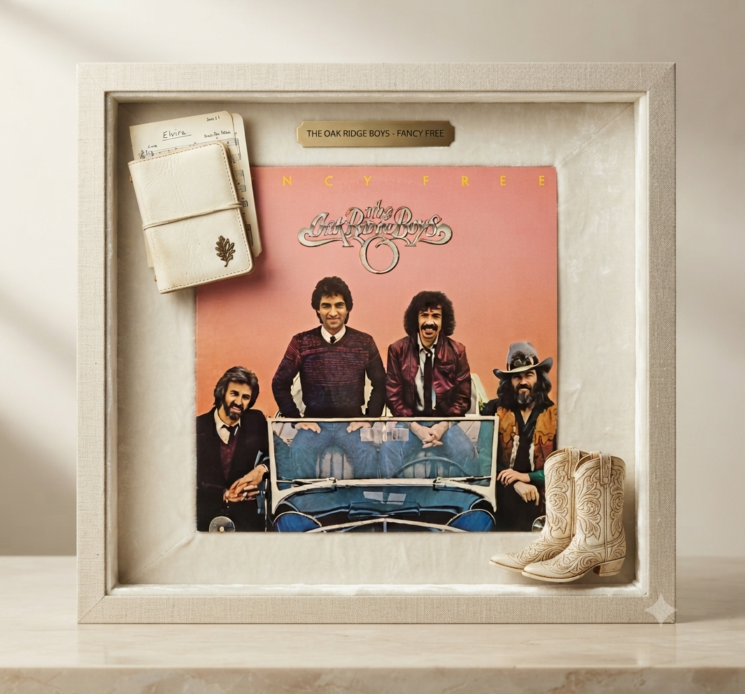 Disco de Vinilo LP (Álbum Coleccionable)